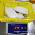 Frozen Squid Tubes Frozen Giant Dosidicus Gigas Squid Tubes U10 Supplier